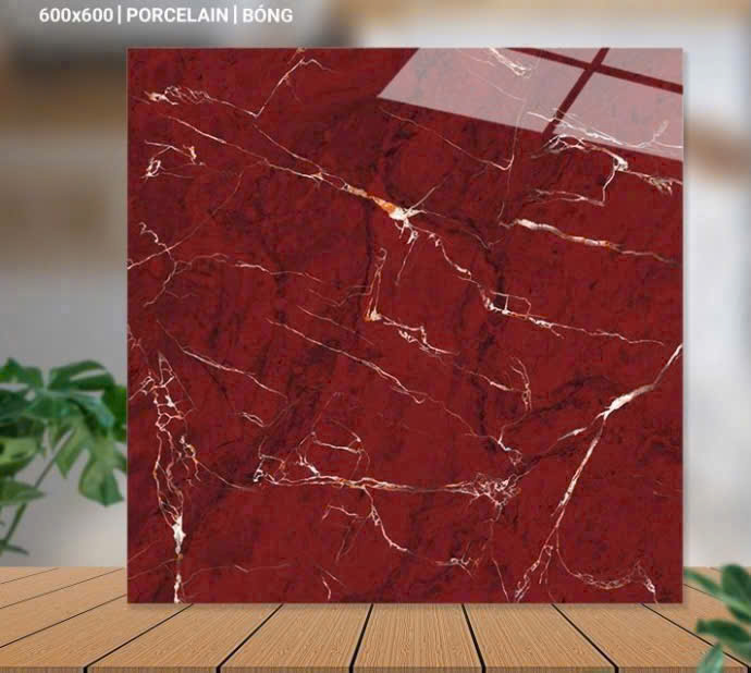 Gạch  lát nền KT60x60